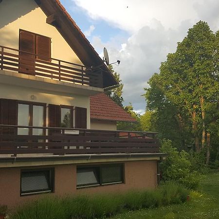 House Tudic Apartment Dreznik Grad Exterior photo