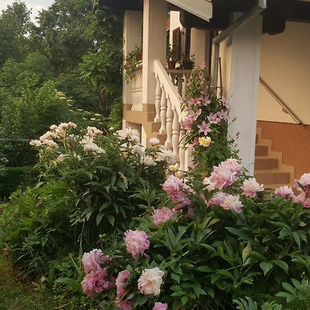 House Tudic Apartment Dreznik Grad Exterior photo