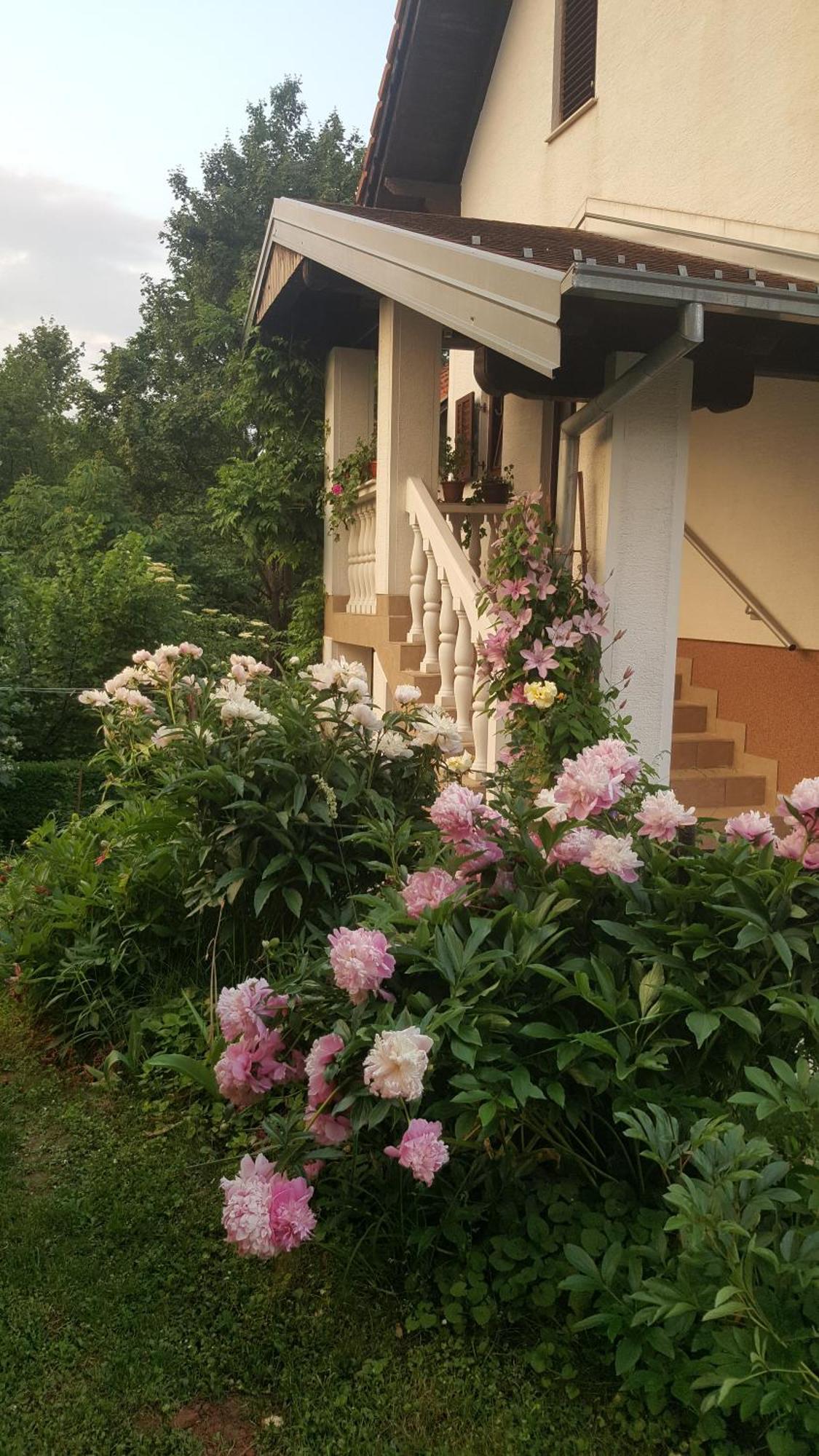 House Tudic Apartment Dreznik Grad Exterior photo