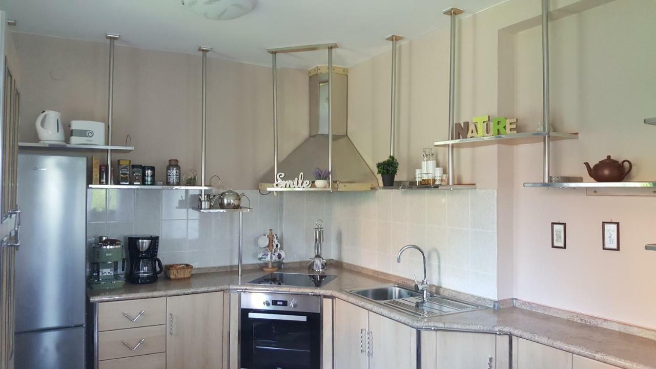House Tudic Apartment Dreznik Grad Exterior photo